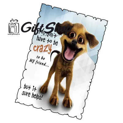 You don`t have to be crazy, magnet frigider mgs073